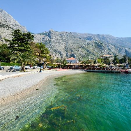 Central Apartment Kotor Kültér fotó
