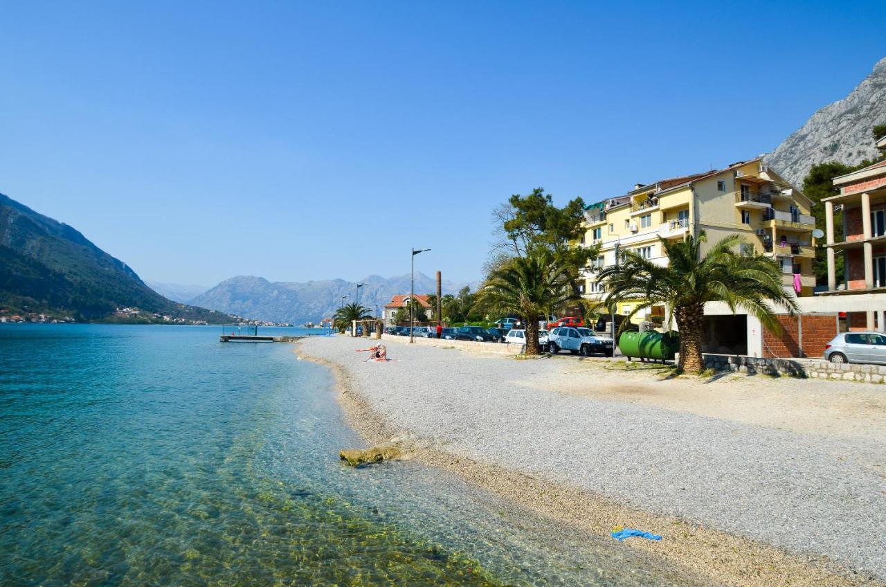 Central Apartment Kotor Kültér fotó
