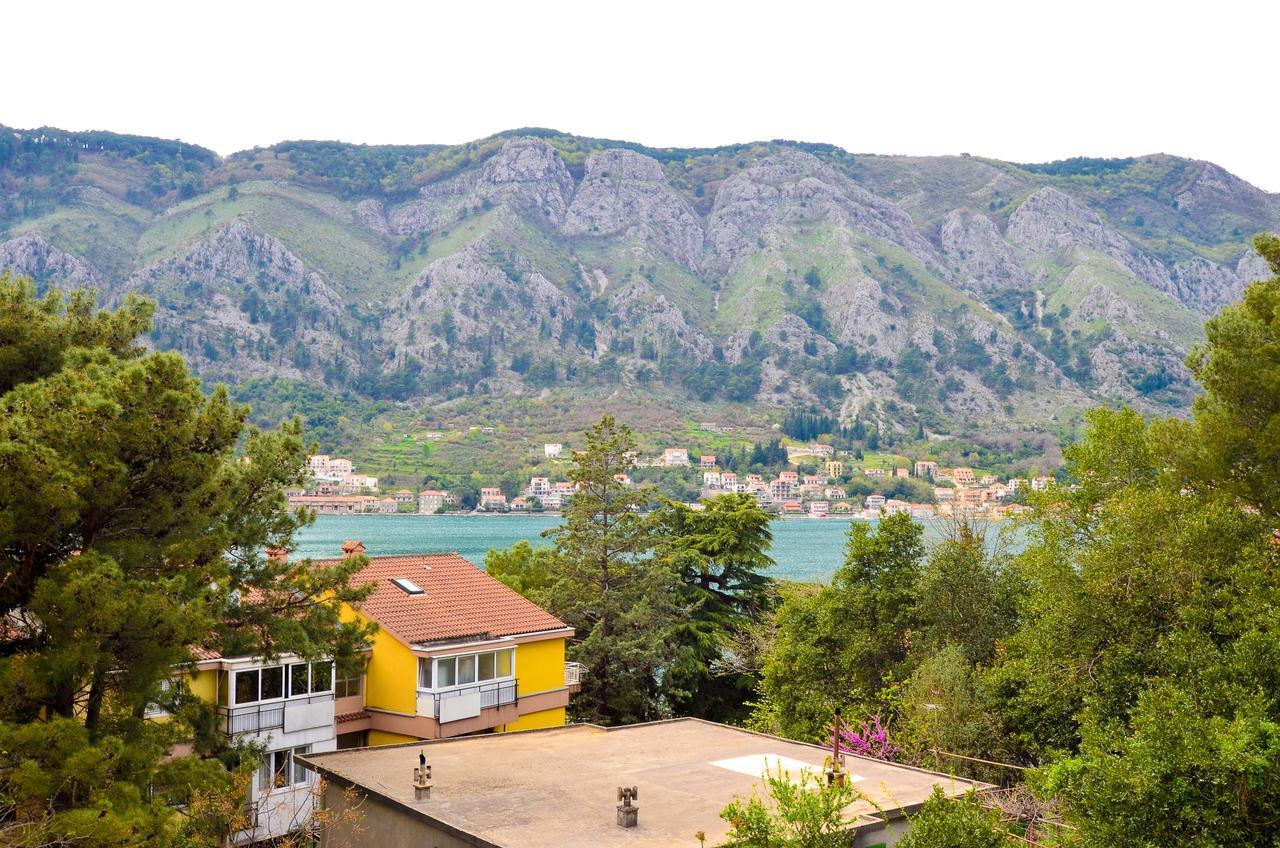 Central Apartment Kotor Kültér fotó