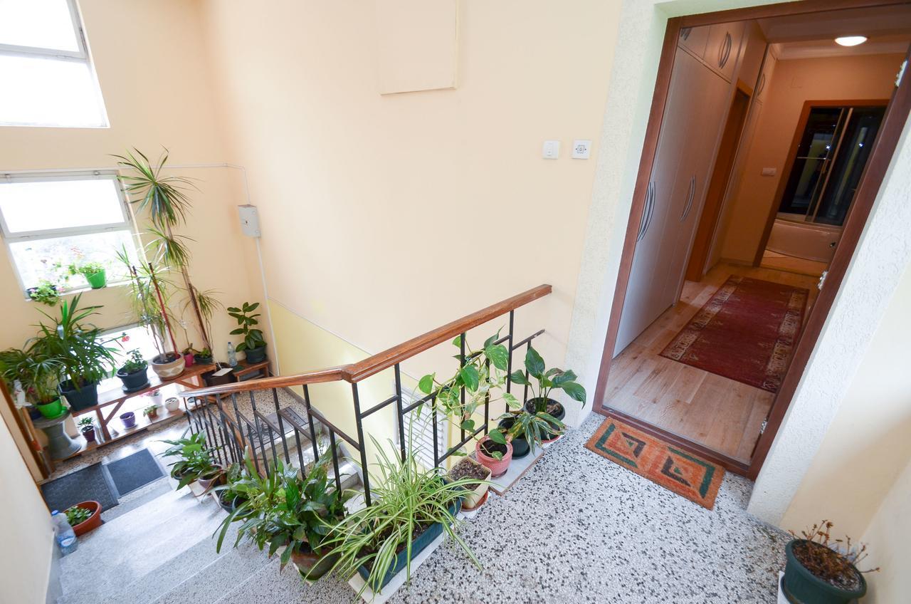 Central Apartment Kotor Kültér fotó